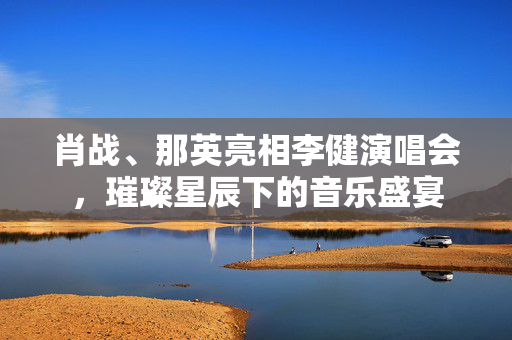 肖战、那英亮相李健演唱会，璀璨星辰下的音乐盛宴