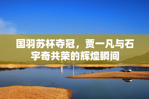 国羽苏杯夺冠，贾一凡与石宇奇共荣的辉煌瞬间
