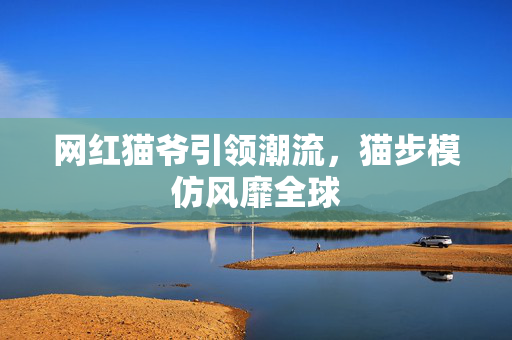 网红猫爷引领潮流，猫步模仿风靡全球