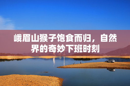 峨眉山猴子饱食而归，自然界的奇妙下班时刻