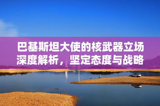 巴基斯坦大使的核武器立场深度解析，坚定态度与战略考量