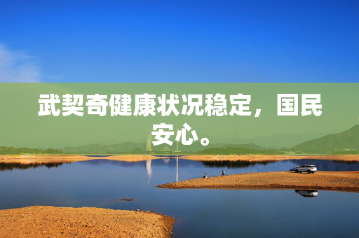 武契奇健康状况稳定，国民安心。