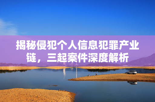揭秘侵犯个人信息犯罪产业链，三起案件深度解析