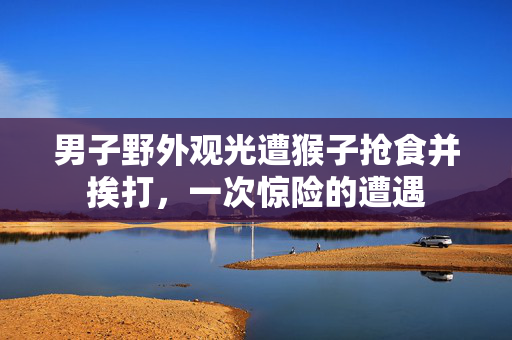 男子野外观光遭猴子抢食并挨打，一次惊险的遭遇