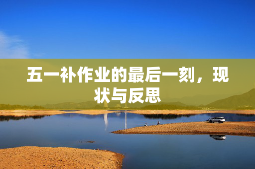 五一补作业的最后一刻，现状与反思