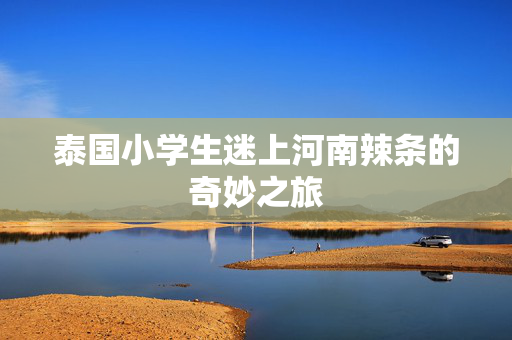 泰国小学生迷上河南辣条的奇妙之旅