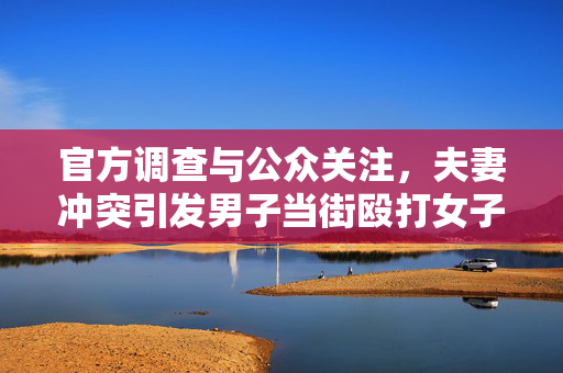 官方调查与公众关注，夫妻冲突引发男子当街殴打女子事件