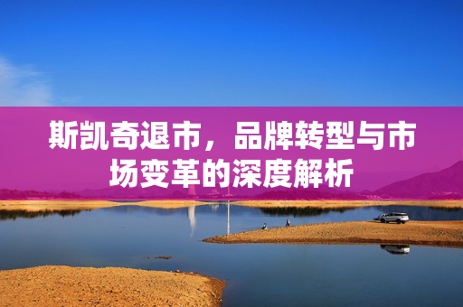 斯凯奇退市，品牌转型与市场变革的深度解析