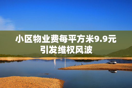 小区物业费每平方米9.9元引发维权风波