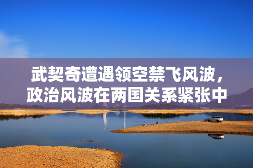 武契奇遭遇领空禁飞风波，政治风波在两国关系紧张中蔓延