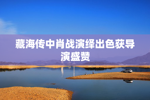 藏海传中肖战演绎出色获导演盛赞