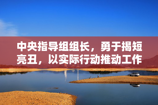 中央指导组组长，勇于揭短亮丑，以实际行动推动工作进步
