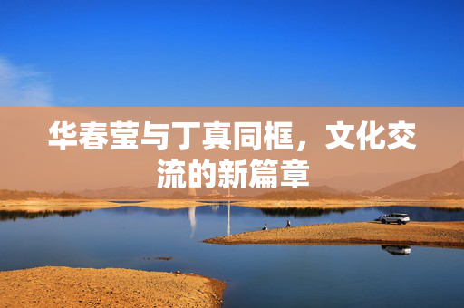 华春莹与丁真同框，文化交流的新篇章