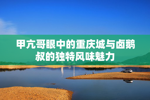 甲亢哥眼中的重庆城与卤鹅叔的独特风味魅力